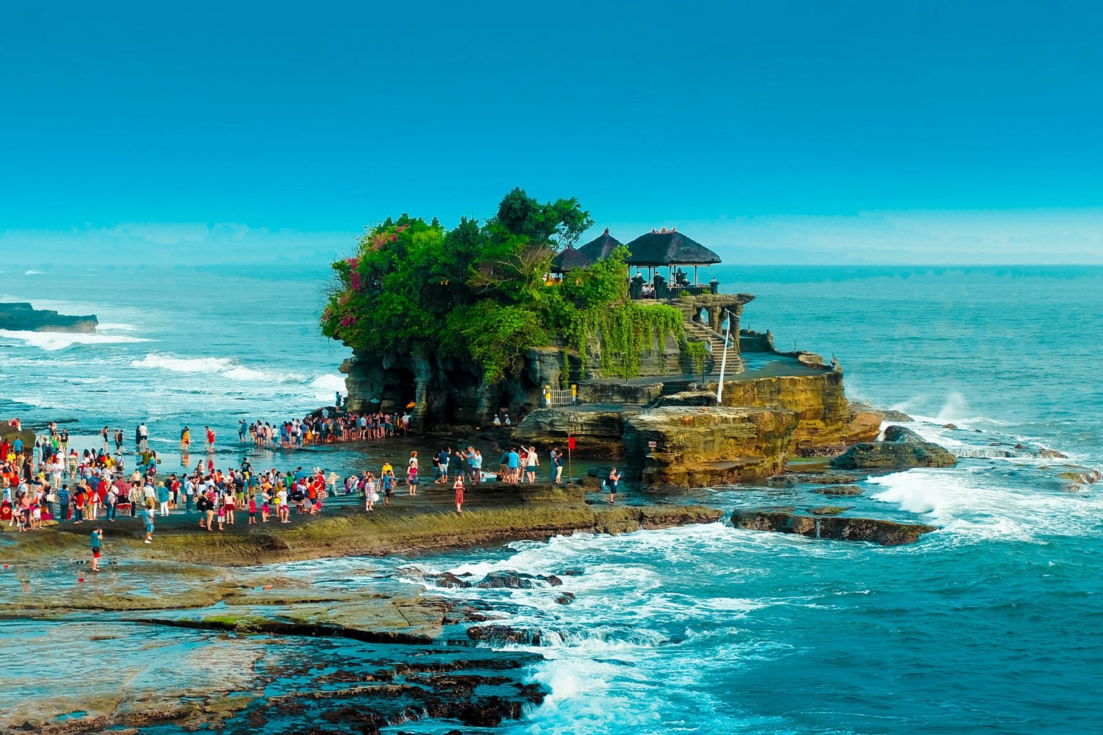 people on beach shore during daytime